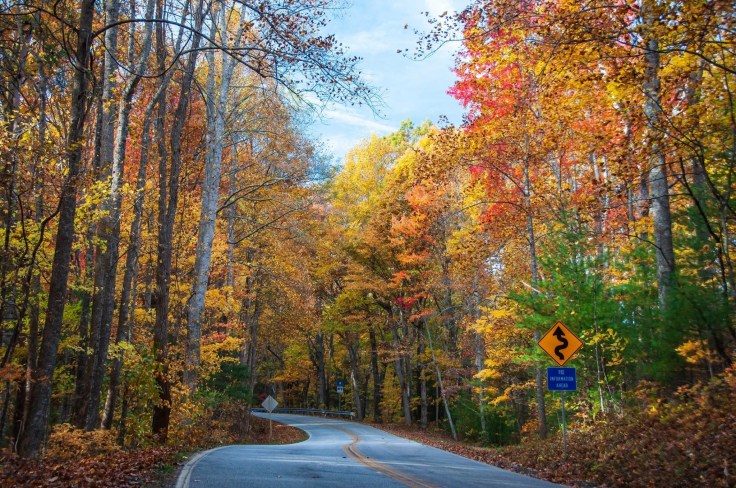 CBEFFB4B-D550-4C48-BB1C-1211E085B953